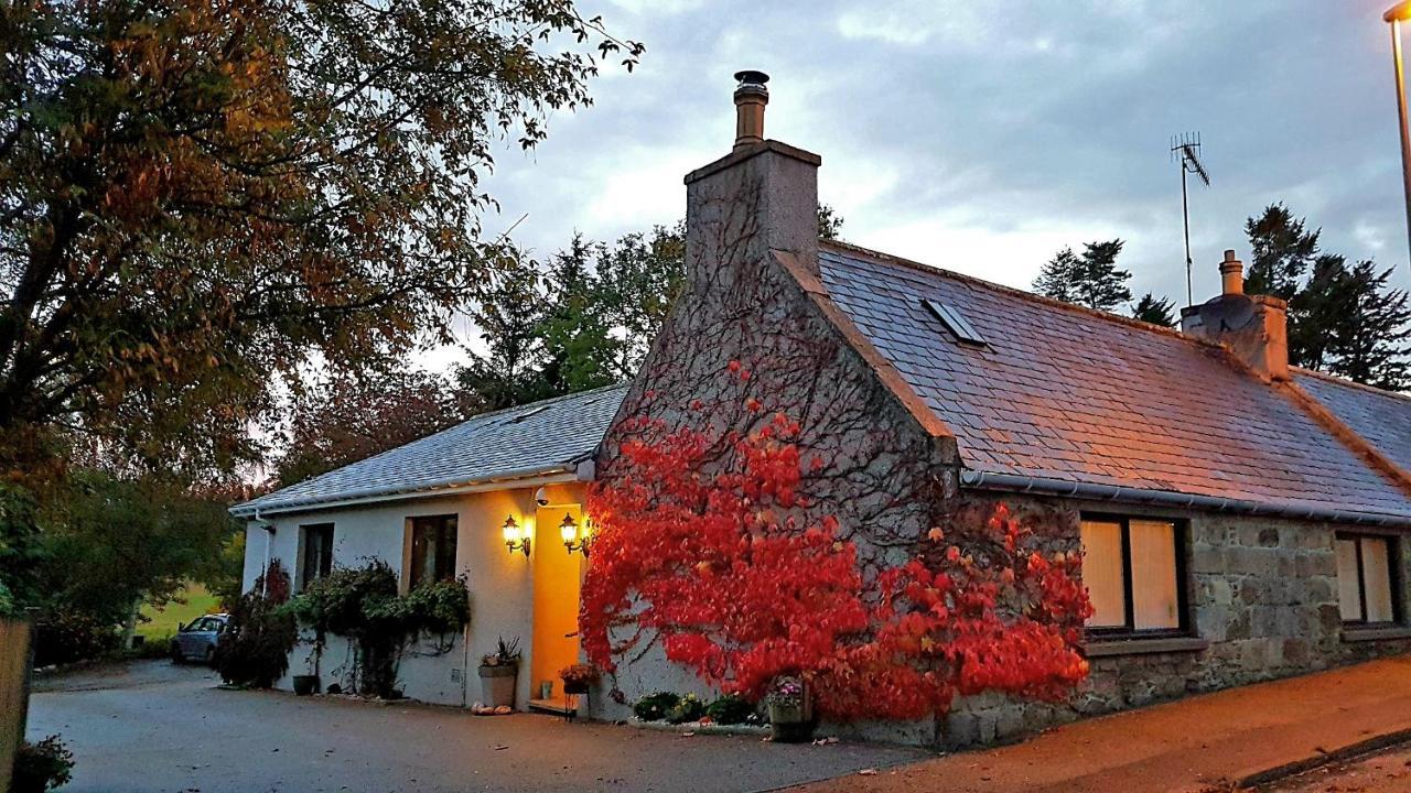 Lilyoak B&B & Self Catering Apartment Insch Exterior foto
